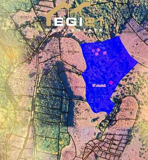 Truall për SHITJE,  242 Ari, Kukavicë