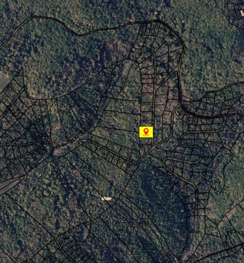 Truall 9Ari për SHITJE, Zllatar