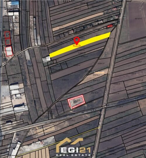 Truall 57 Ari në SHITJE, Llapnasellë