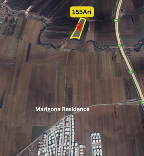 Trualli  155 Ari në SHITJE, Preoc