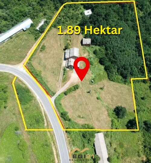 Truall 1.89HA për SHITJE, Prapashticë