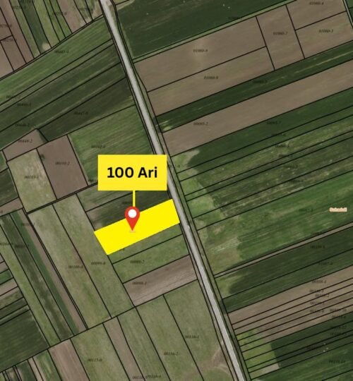 Truall 100 Ari për SHITJE, Suhadoll