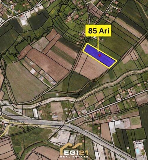 Trull 85 Ari për SHITJE, Gracë