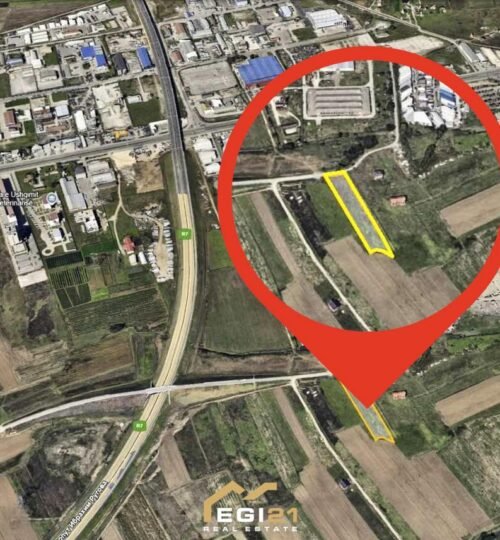 Truall 42 Ari për SHITJE, Uglar