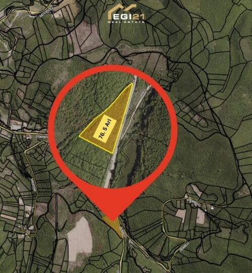 Truall 76.5 Ari për SHITJE, Grashticë