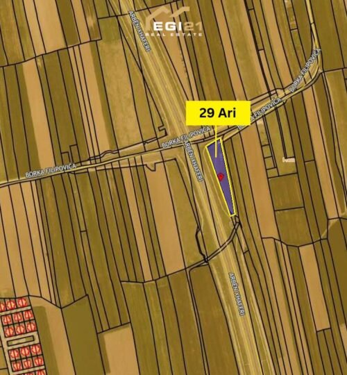 Truall 29 Ari për SHITJE, Preoc