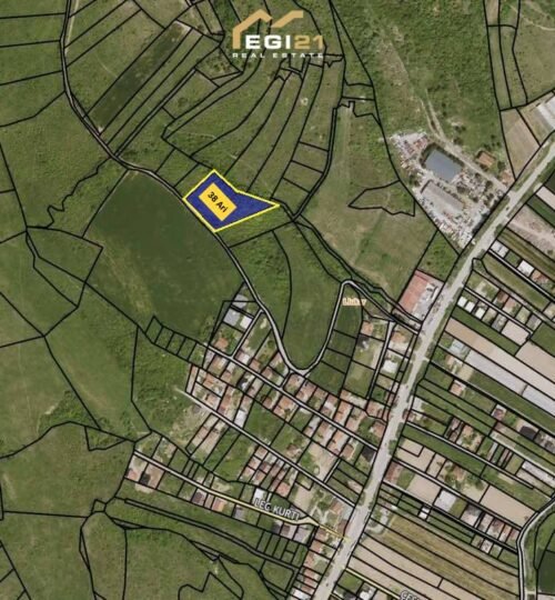 Truall 38 Ari për SHITJE, Llukarë