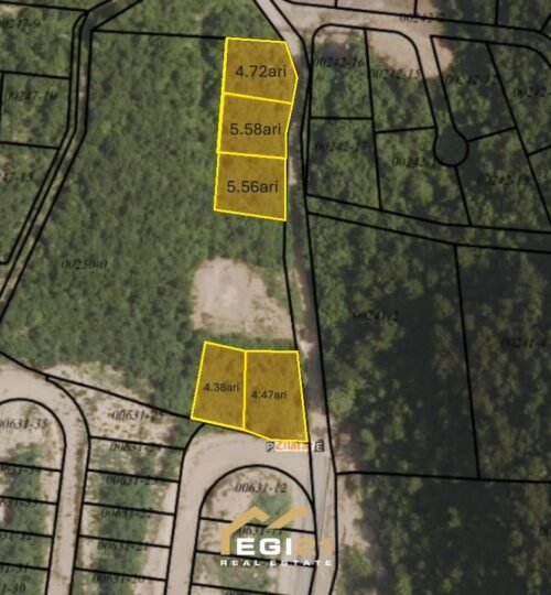 Parcela 24.71 Ari për SHITJE, Zllatar