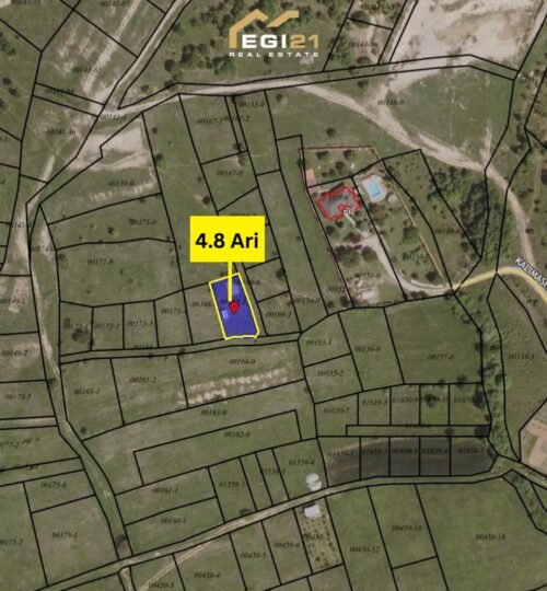 Truall 4.8 Ari për SHITJE, Bernicë e Epërme