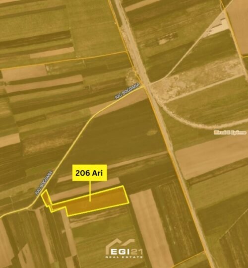 Truall 206 Ari për SHITJE, Lepi