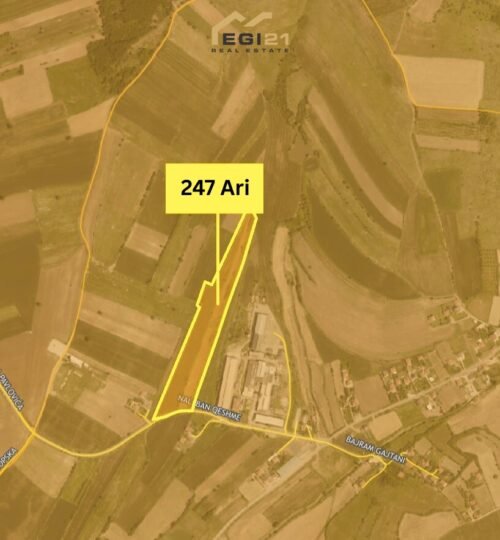 Truall 247 Ari për SHITJE, Janjevë