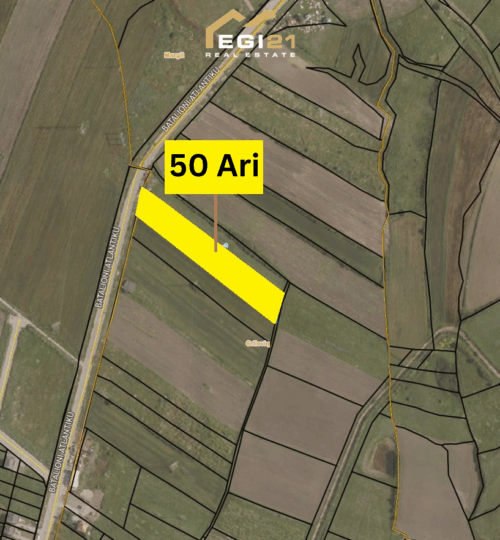 Truall 50Ari për SHITJE, Orlloviq