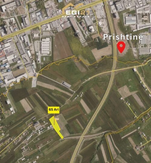 Truall 65 Ari për SHITJE, Uglar