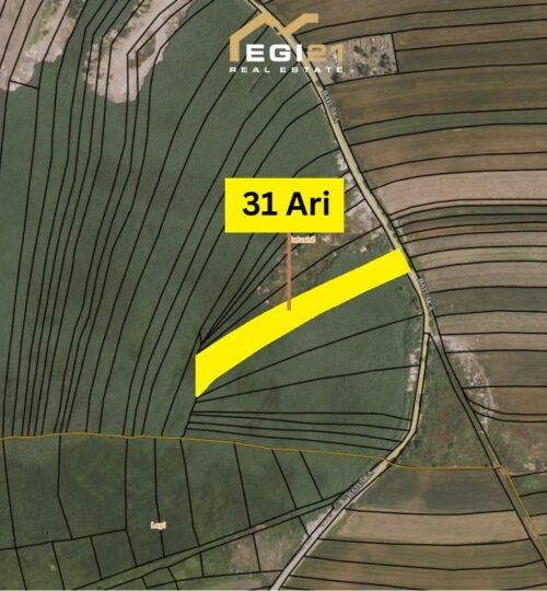 Truall 31 Ari për SHITJE, Batushë