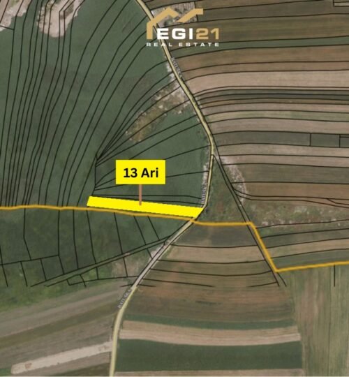 Truall 13 Ari për SHITJE, Batushë